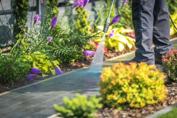 Best Gas Station Cleaning  in Acres Green, CO